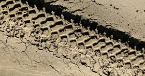 Tire tracks in the mud